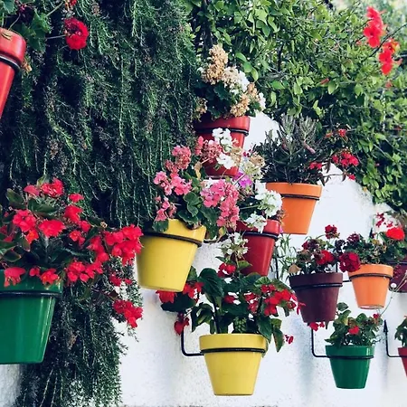 Casa De Dolores Semesterbostad *